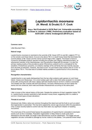 Lepidorrhachis Mooreana (H