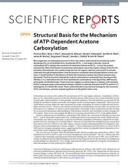 Structural Basis for the Mechanism of ATP-Dependent Acetone Carboxylation Received: 6 February 2017 Florence Mus1, Brian J