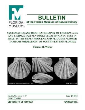 In the Upper Miocene and Pliocene “Lower Tamiami Formation” of Southwestern Florida