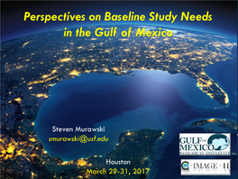 Perspectives on Baseline Study Needs in the Gulf of Mexico