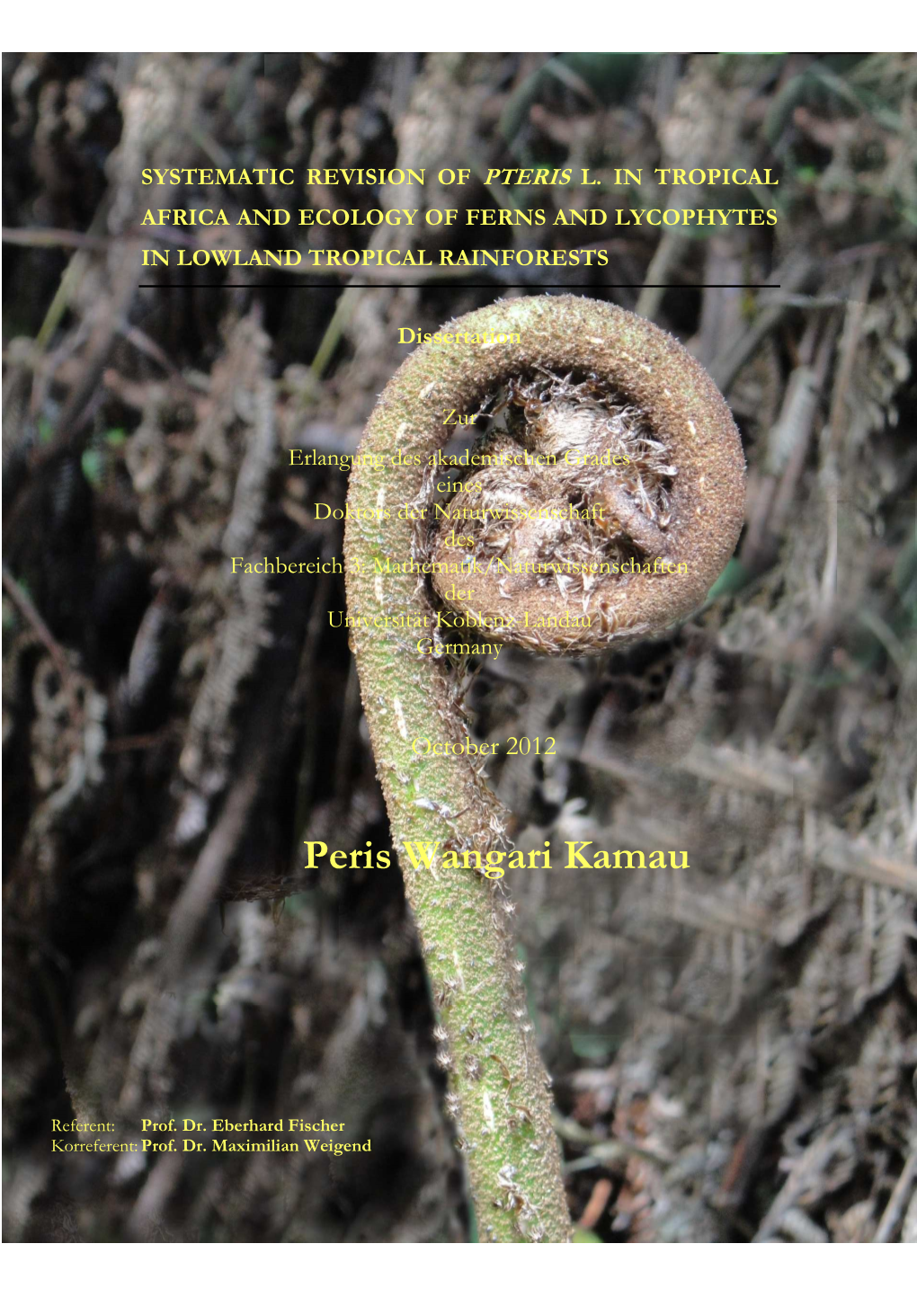 Systematic Revision of Pteris and Ecology of Ferns in Lowland Tropical