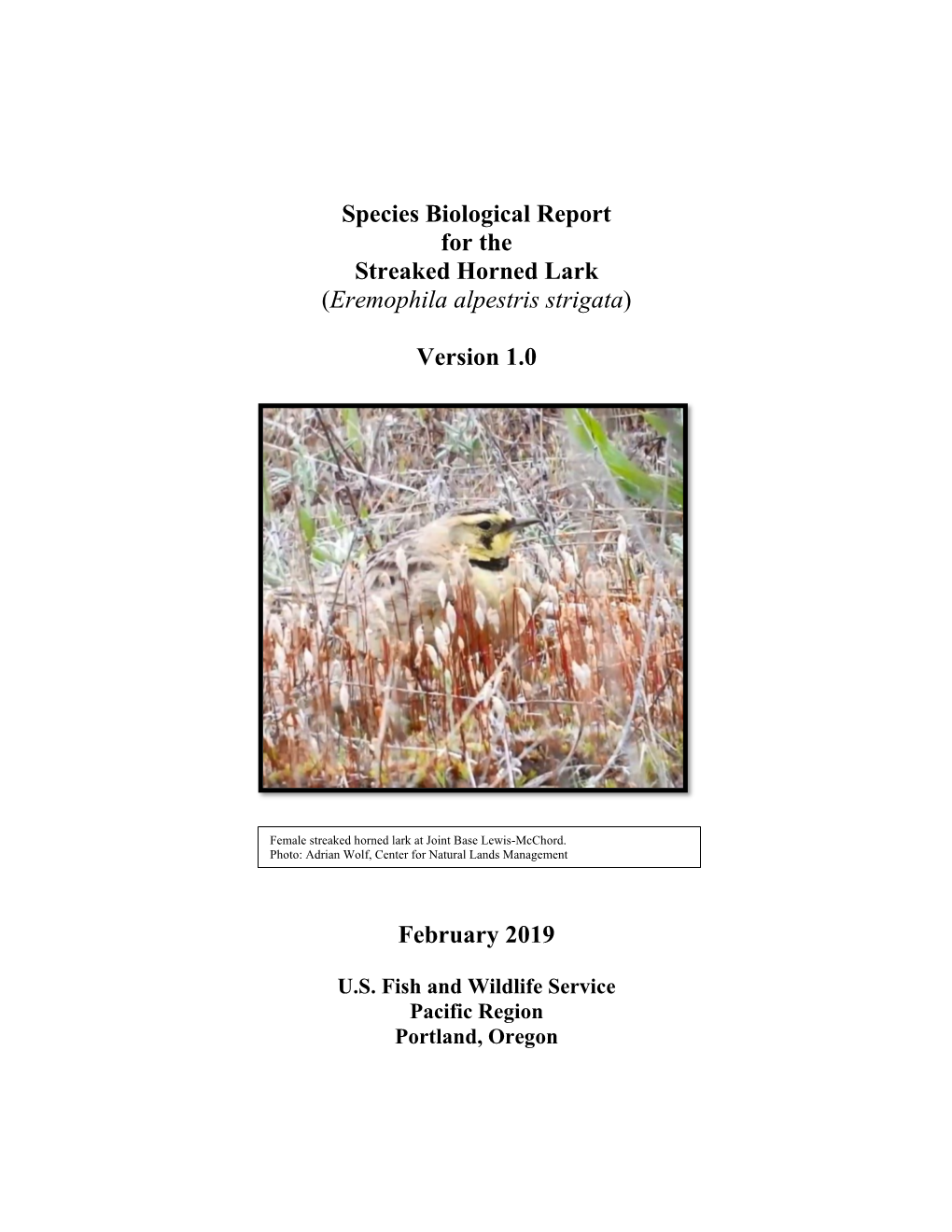 Species Biological Report for the Streaked Horned Lark (Eremophila Alpestris Strigata)