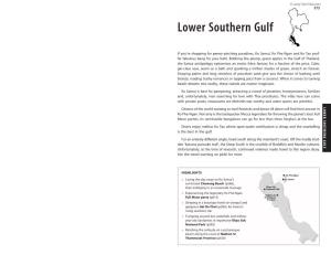 Lower Southern Gulf