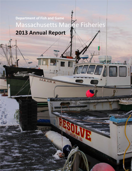2013 DMF Annual Report