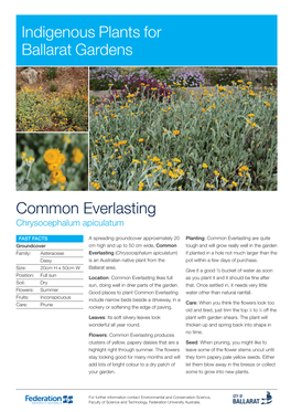 Common Everlasting Indigenous Plants for Ballarat Gardens