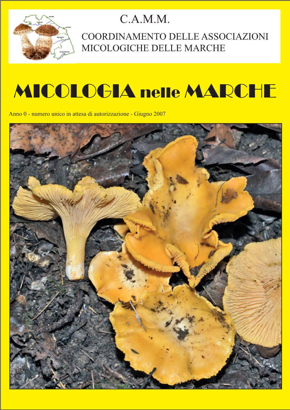 MICOLOGIA Nelle MARCHE