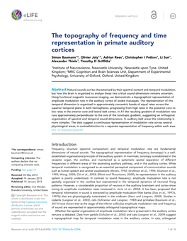 The Topography of Frequency and Time Representation in Primate Auditory