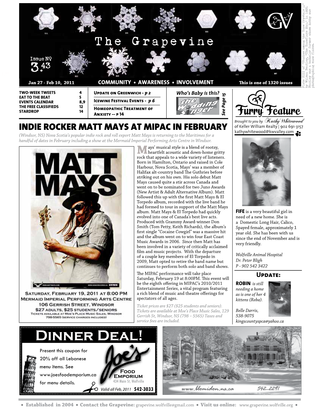 Indie Rocker Matt Mays at Mipac in February