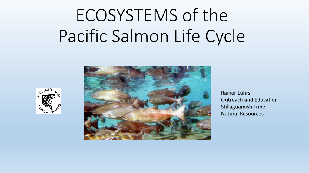 Ecosystem of Pacific Salmon