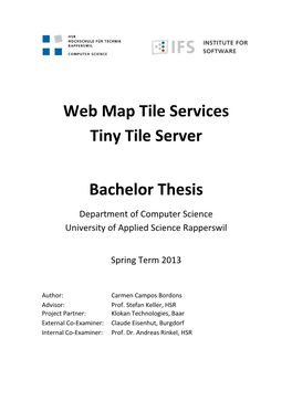 Web Map Tile Services Tiny Tile Server Bachelor Thesis