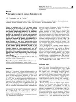 Viral Epigenomes in Human Tumorigenesis