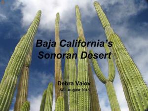 Baja California´S Sonoran Desert