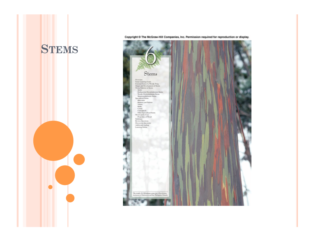 Stems- Part 1