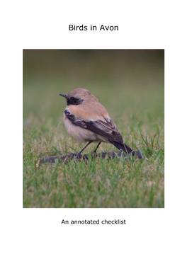 Birds of Avon, an Annotated Checklist