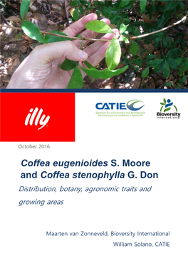 Coffea Eugenioides S. Moore and Coffea Stenophylla G. On