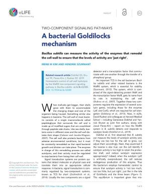 A Bacterial Goldilocks Mechanism