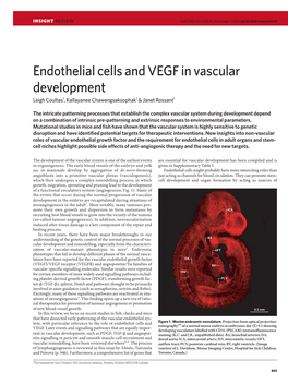 Endothelial Cells and VEGF in Vascular Development Leigh Coultas1, Kallayanee Chawengsaksophak1 & Janet Rossant1