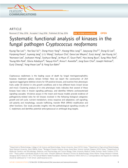 Cryptococcus Neoformans