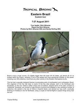 Tropical Birding, Eastern Brazil Trip Report, August 2011