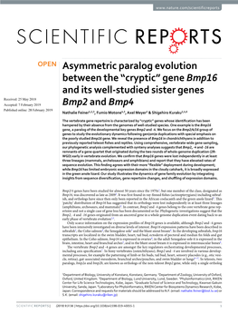 Gene Bmp16 and Its Well-Studied Sister Genes Bmp2 and Bmp4