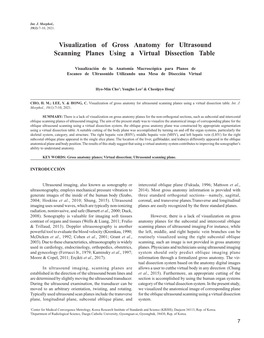 Visualization of Gross Anatomy for Ultrasound Scanning Planes Using a Virtual Dissection Table