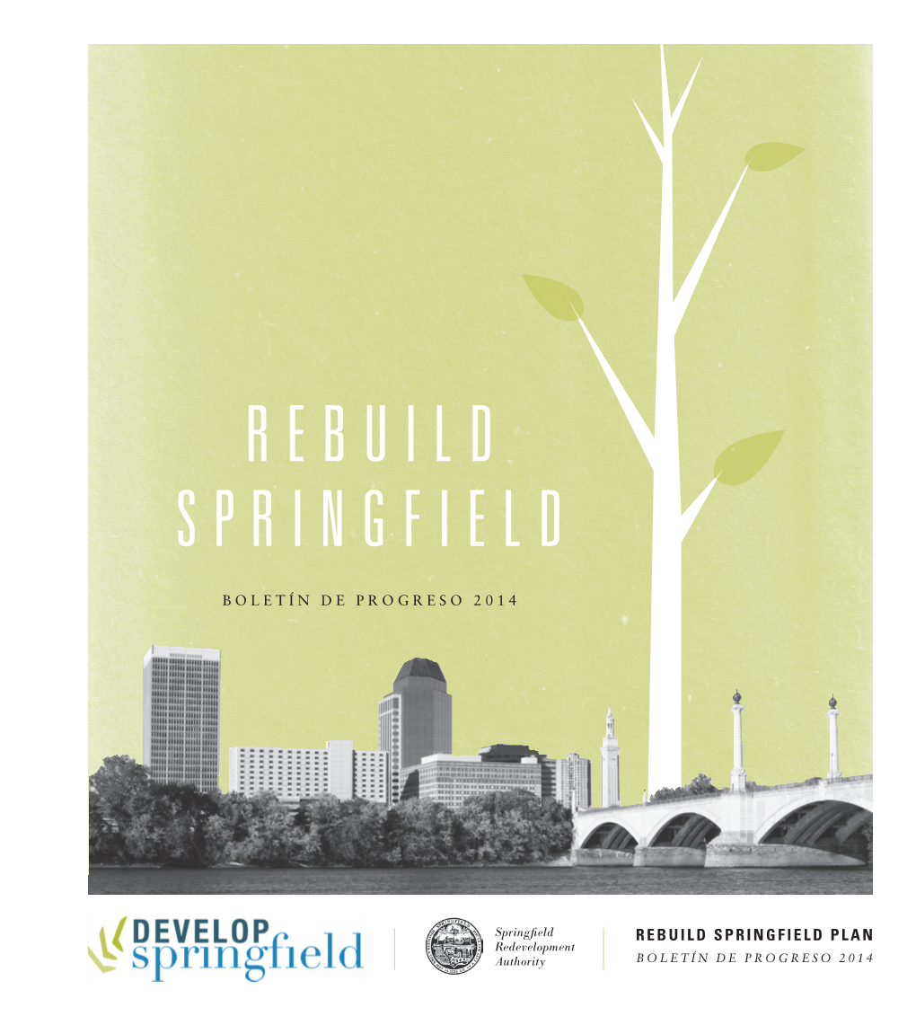 Rebuild Springfield