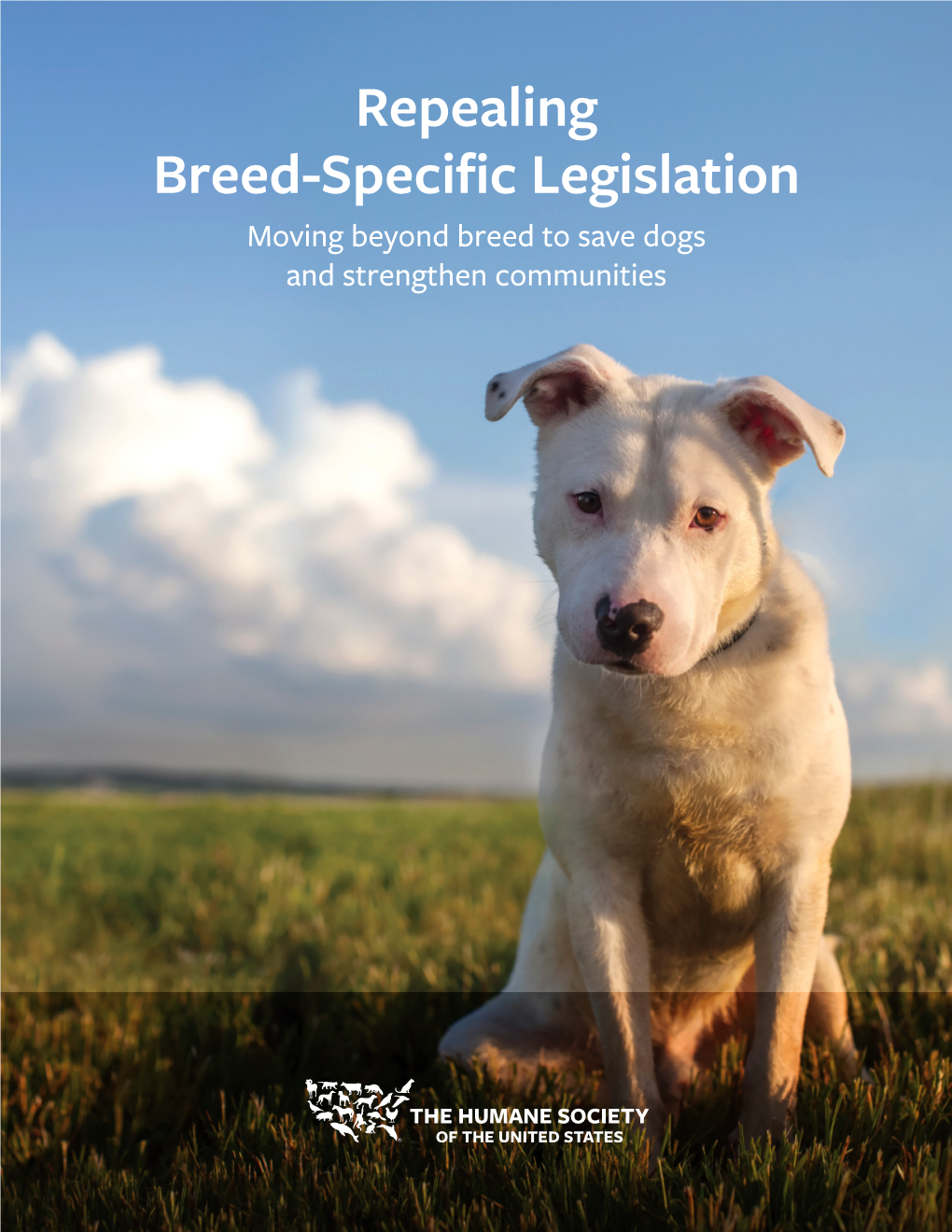 Repealing Breed-Specific Legislation Moving Beyond Breed to Save Dogs and Strengthen Communities CONTENTS