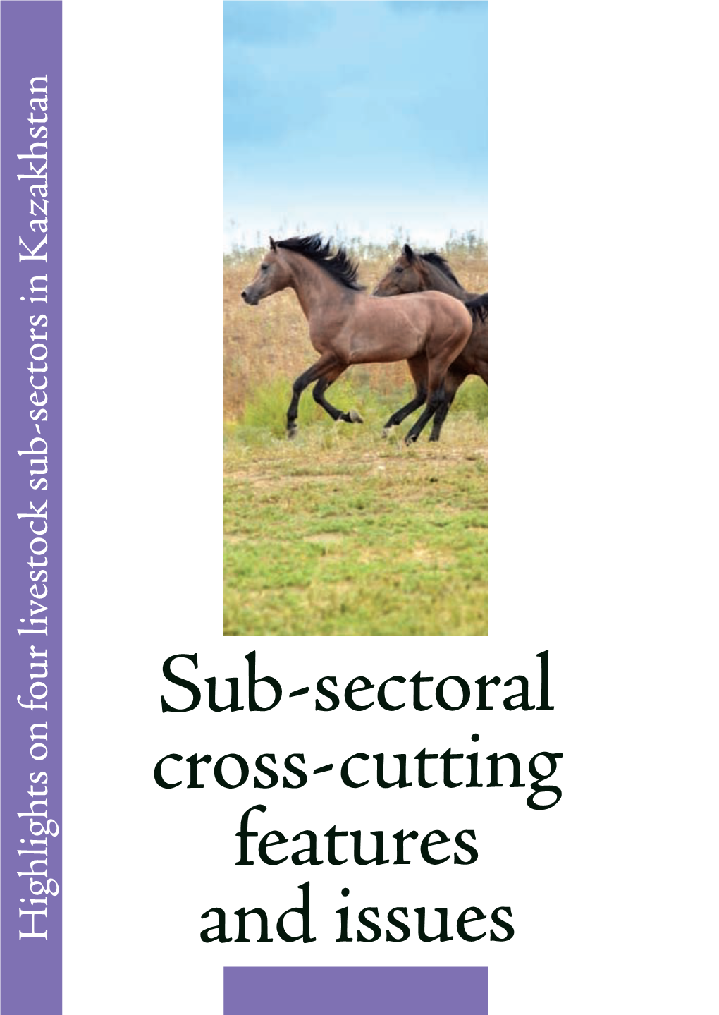 Sub-Sectoral Cross- Cutting Features and Issues