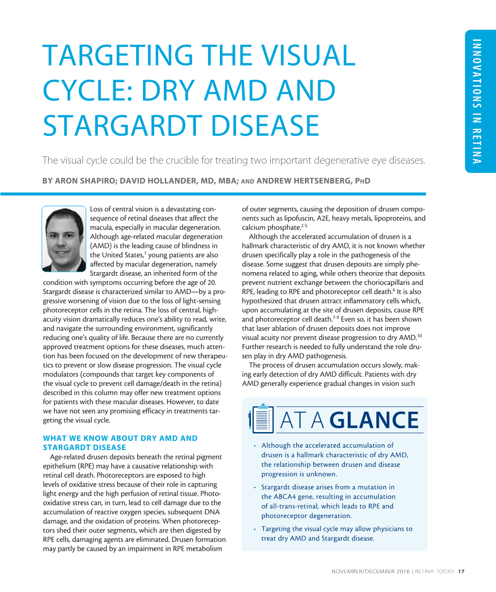 Targeting the Visual Cycle: Dry Amd and Stargardt Disease