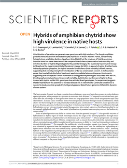 Hybrids of Amphibian Chytrid Show High Virulence in Native Hosts S