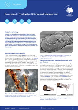 Bryozoans in Freshwater: Science and Management