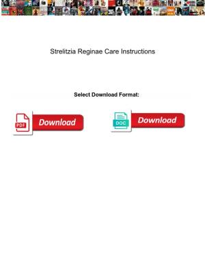 Strelitzia Reginae Care Instructions