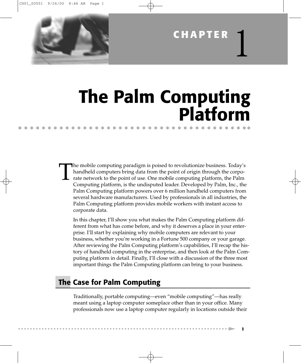 The Palm Computing Platform