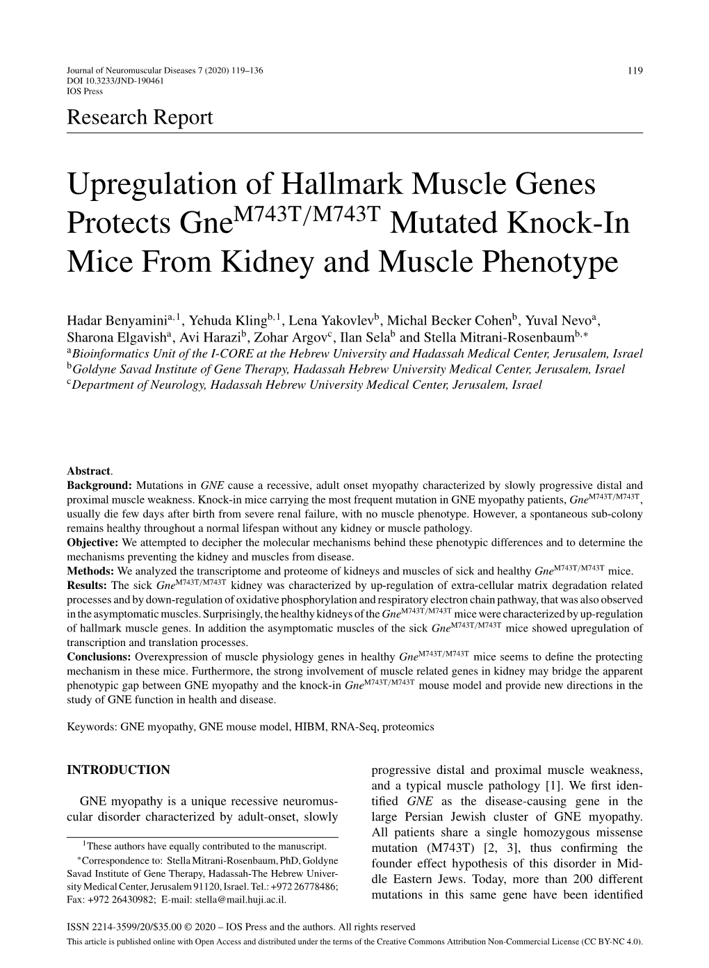 Upregulation of Hallmark Muscle Genes Protects Gne Mutated Knock
