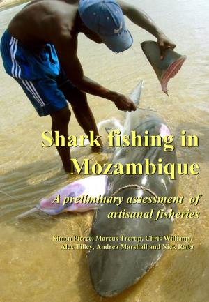 Shark Fishing in Mozambique: a Preliminary Assessment of Artisanal Fisheries