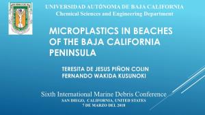 Microplastics in Beaches of the Baja California Peninsula