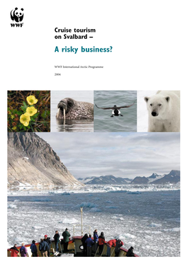 Arctic Tourism Risk