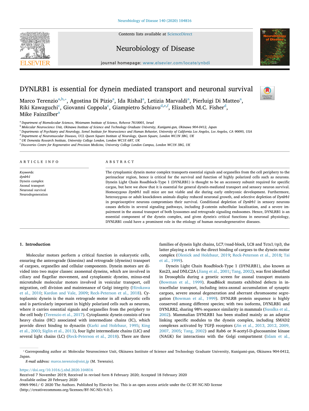 DYNLRB1 Is Essential for Dynein Mediated Transport and Neuronal Survival