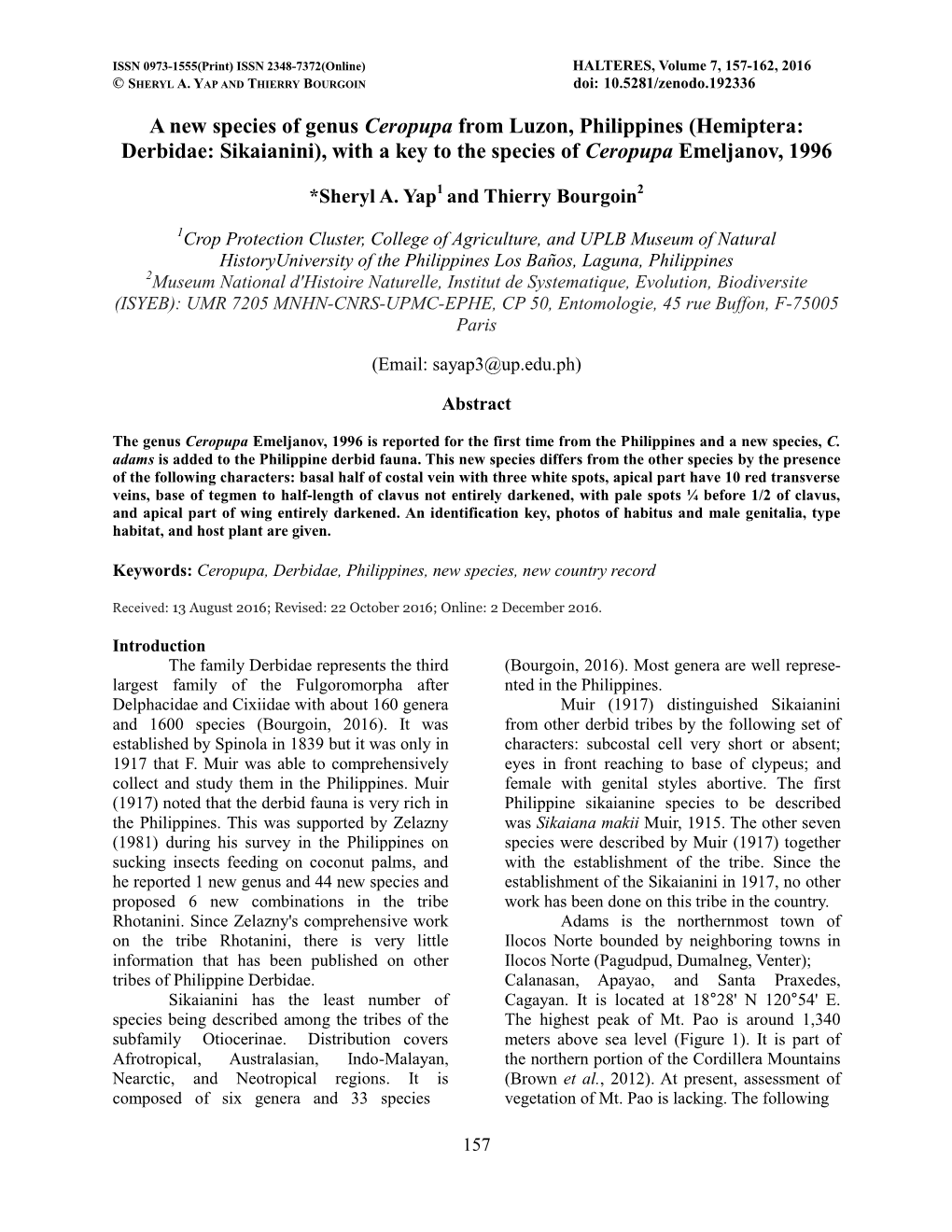 A New Species of Genus Ceropupa from Luzon, Philippines (Hemiptera: Derbidae: Sikaianini), with a Key to the Species of Ceropupa Emeljanov, 1996