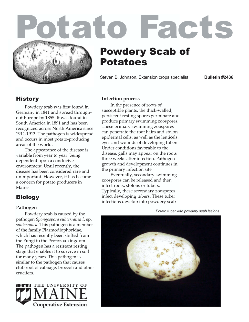 Powdery Scab of Potatoes