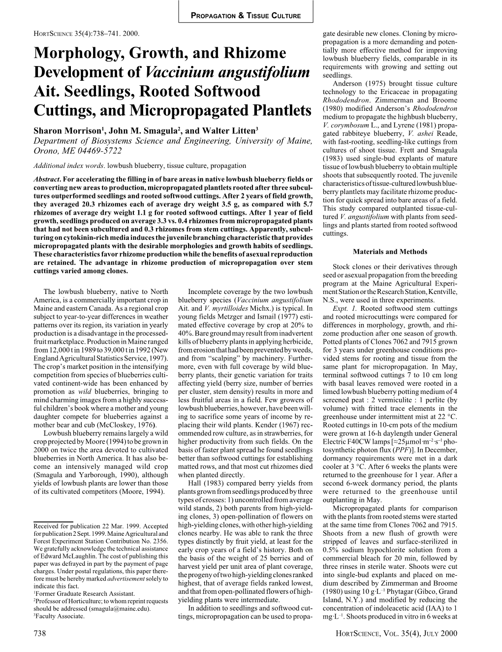 Morphology, Growth, and Rhizome Development of Vaccinium