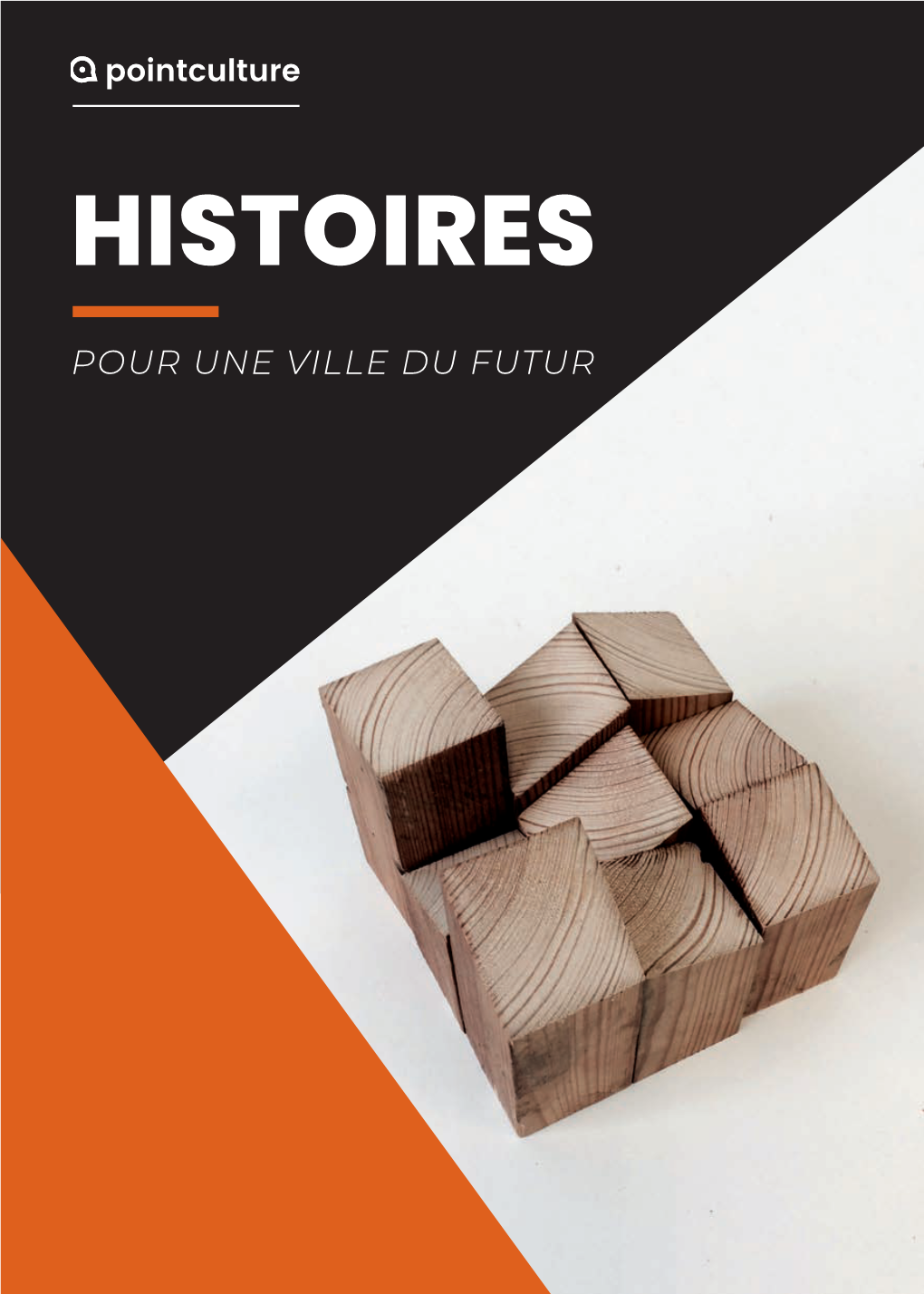 HISTOIRES POUR UNE VILLE DU FUTUR Aucun Régime Politique Ne Pourra Jamais « Maîtriser Ce Phénomène-Là