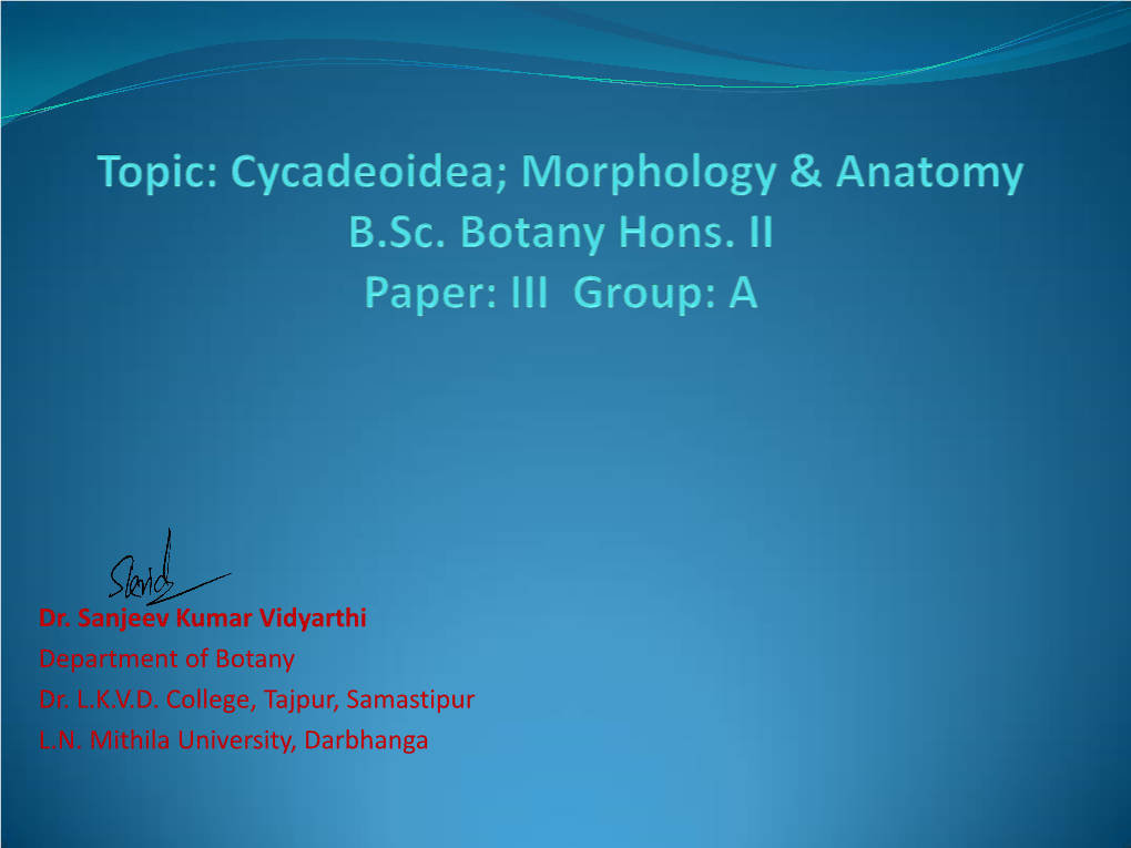 Topic: Cycadeoidea; Morphology & Anatomy B.Sc. Botany Hons. II