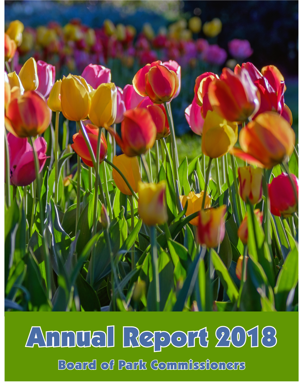 Annual Report 2018 Board of Park Commissioners