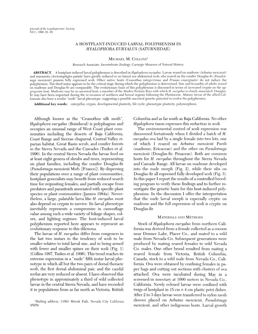 A Hostplant-Induced Larval Polyphenism in Hyalophora Euryalus (Saturniidae)