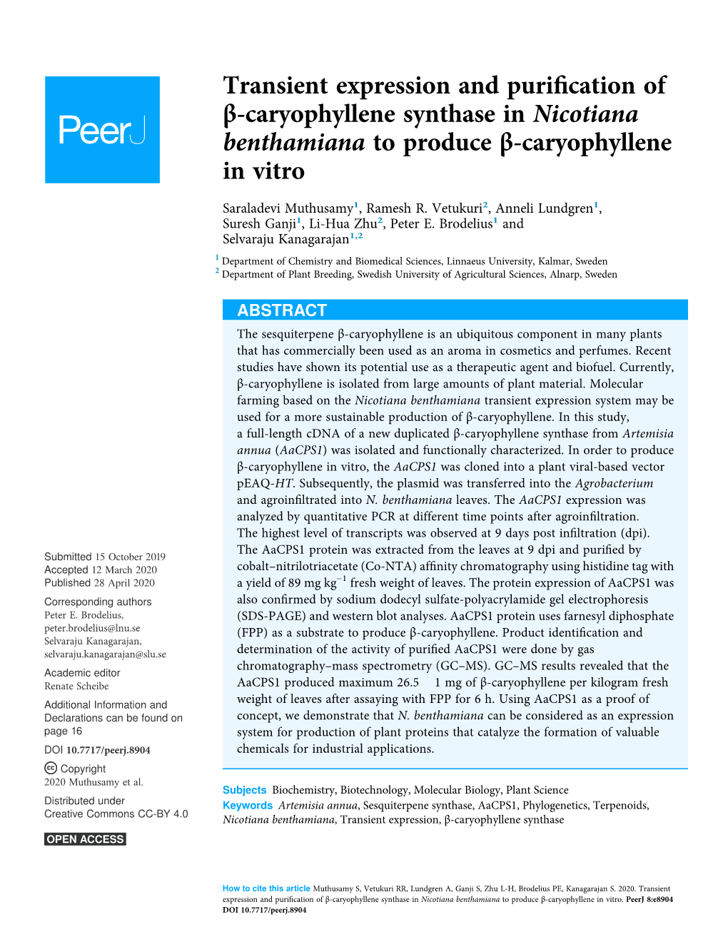 Transient Expression and Purification of Β-Caryophyllene Synthase in Nicotiana Benthamiana to Produce Β-Caryophyllene in Vitro