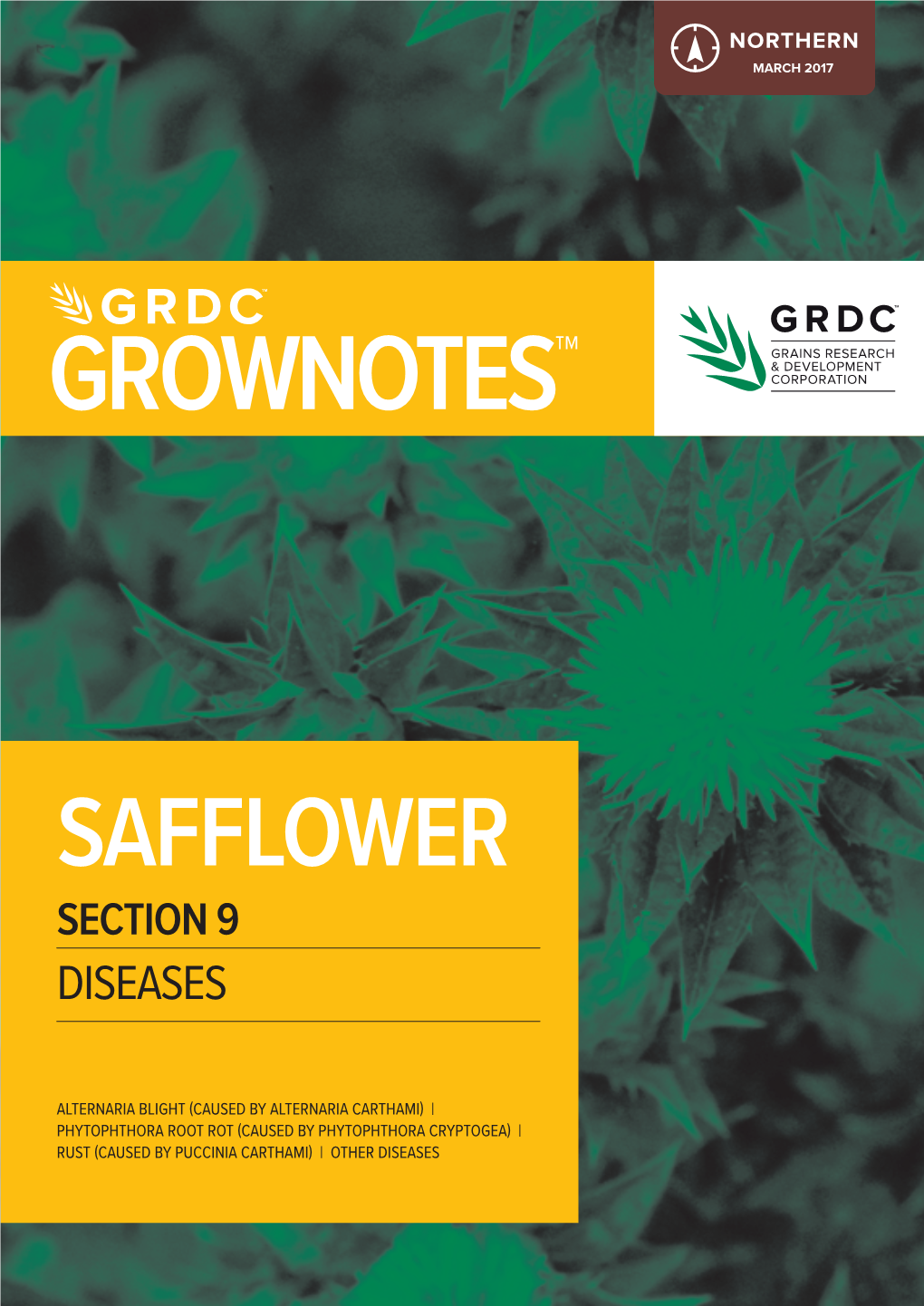 Safflower Section 9 Diseases