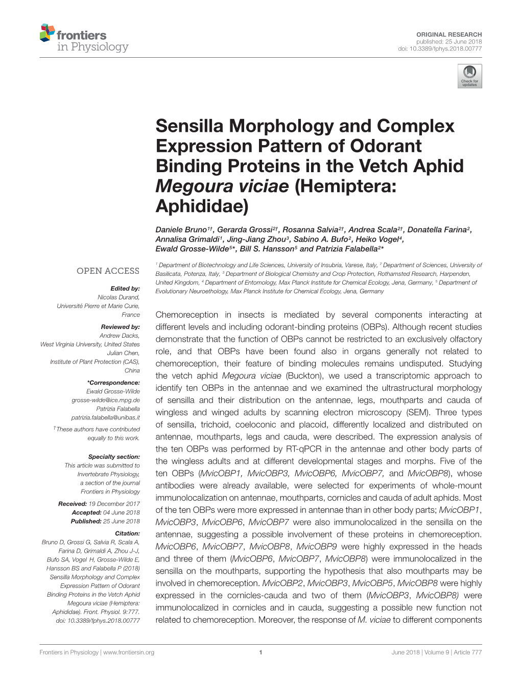 Sensilla Morphology and Complex Expression Pattern of Odorant Binding Proteins in the Vetch Aphid Megoura Viciae (Hemiptera: Aphididae)