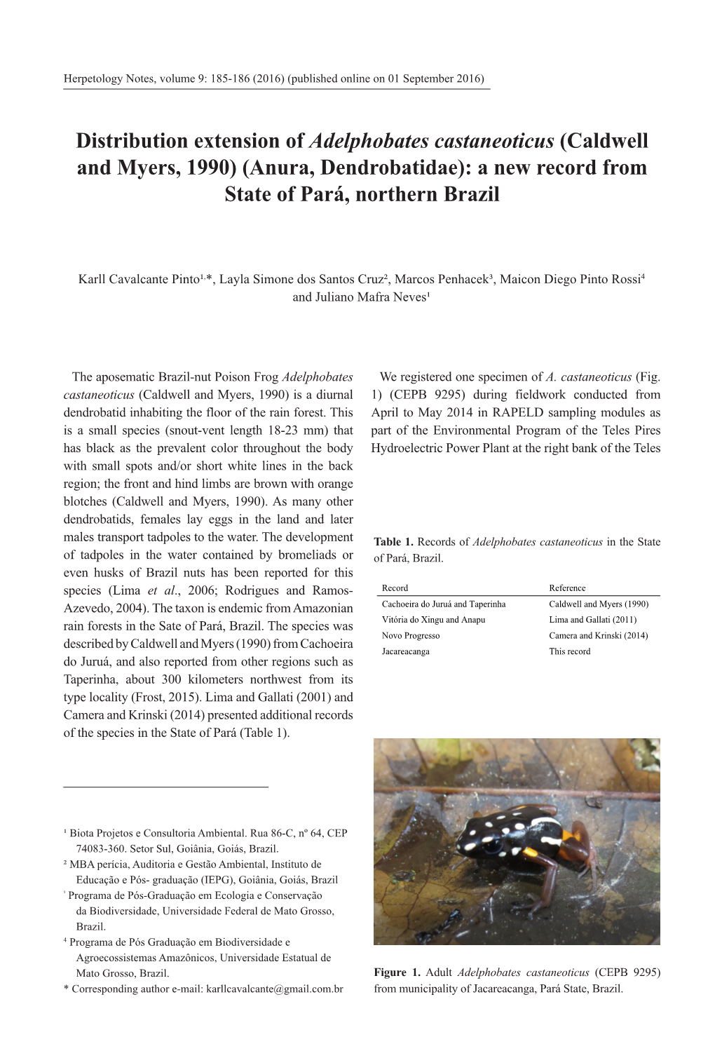 Distribution Extension of Adelphobates Castaneoticus (Caldwell and Myers, 1990) (Anura, Dendrobatidae): a New Record from State of Pará, Northern Brazil