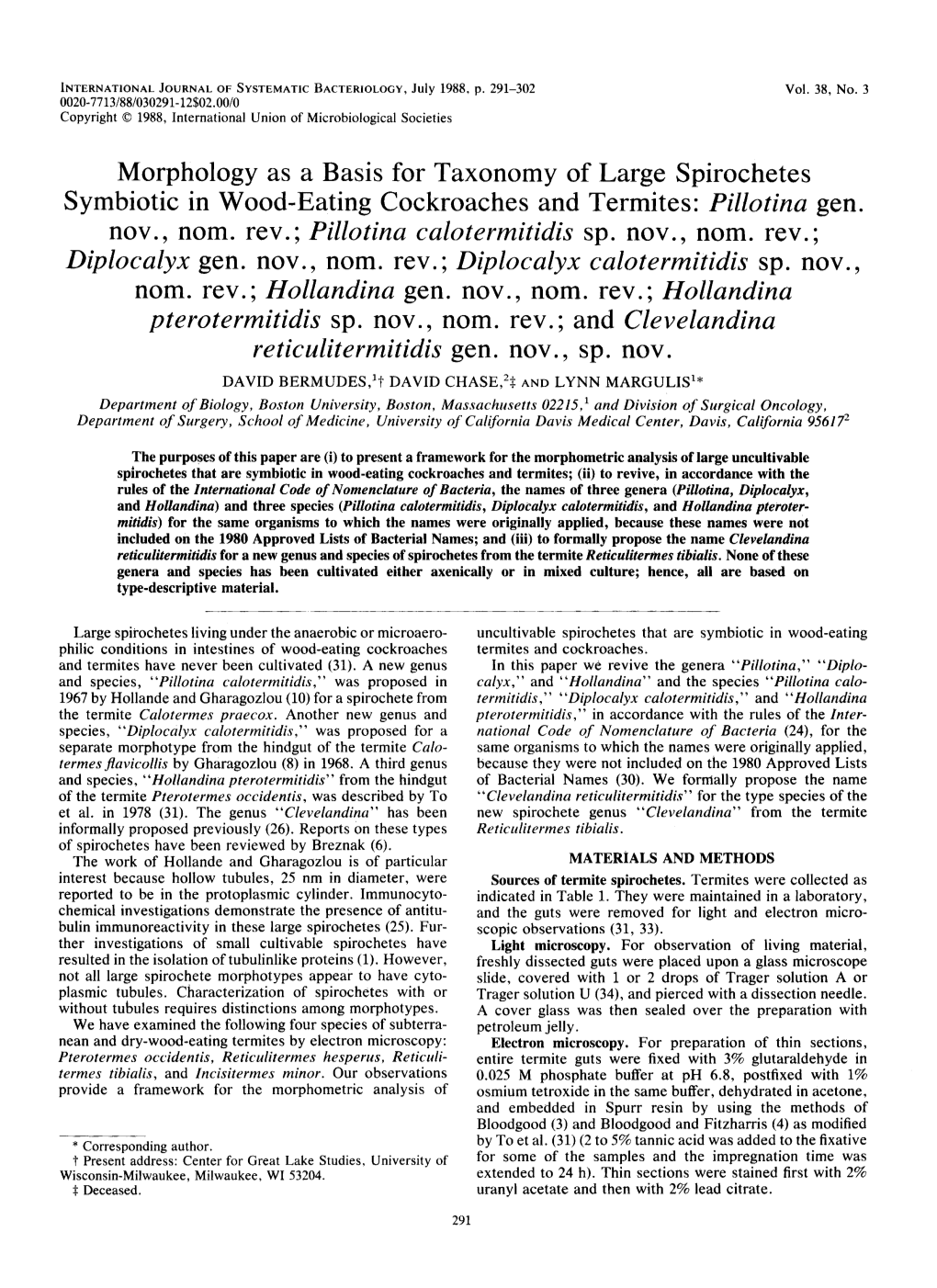 Morphology As a Basis for Taxonomy of Large Spirochetes Symbiotic in Wood-Eating Cockroaches and Termites: Pillotina Nov., Norn